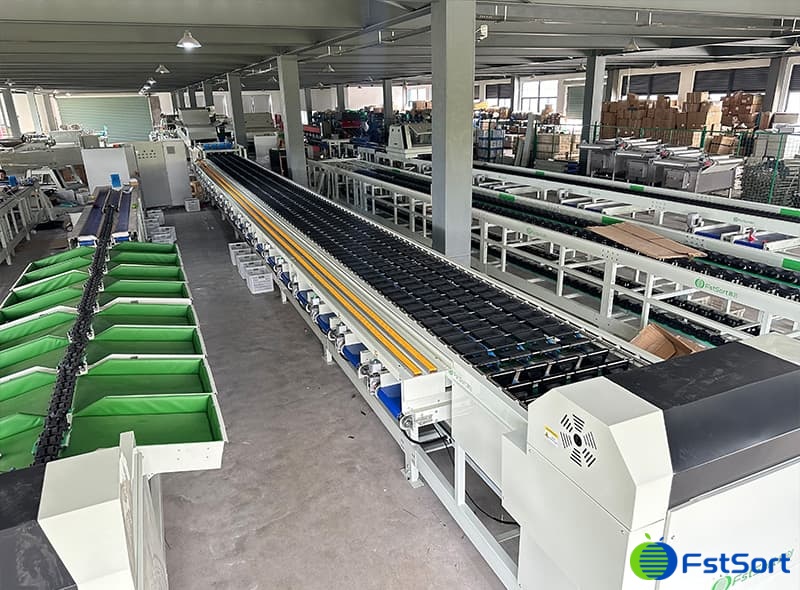 images/1698047838283potato sorting grading machine.jpg